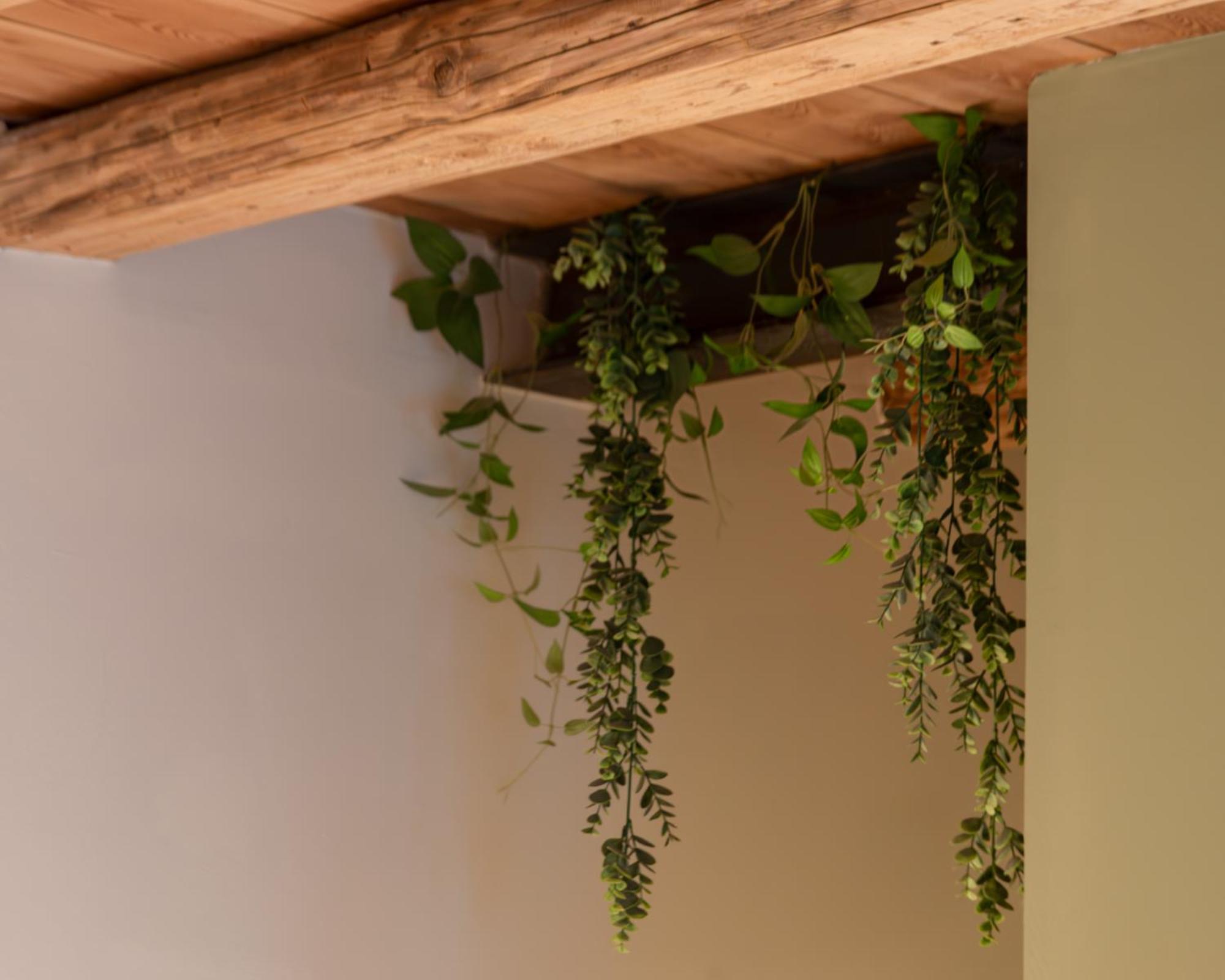 BACARìA BED&BREAKFAST Bassano del Grappa Ngoại thất bức ảnh
